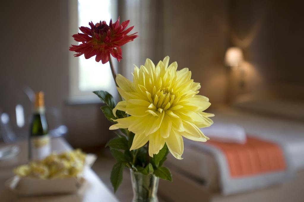 Relais 23 Hotel & Ristorante Castelnuovo Belbo 外观 照片